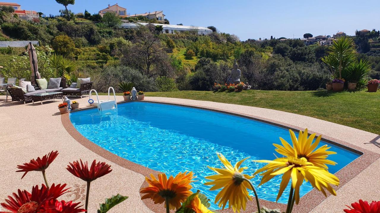 Studio-Mezzanine Dans Villa Cagnes-sur-Mer Eksteriør bilde